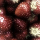 main ults : stray kids β ateez βle sserafim β cortis β xg β xikers β aespa β xlov β enhypen